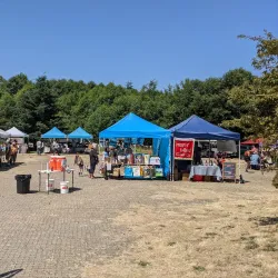 Langley Farmers Market - Langley