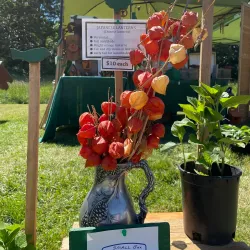 Langley Farmers Market - Langley