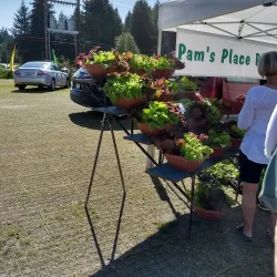 Langley Farmers Market - Langley