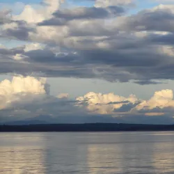 Langley Marina - Langley