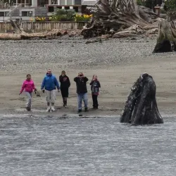 Langley Whale Center - Langley