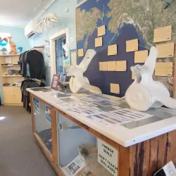 Langley Whale Center - Langley