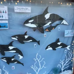 Langley Whale Center - Langley