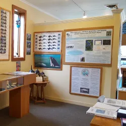 Langley Whale Center - Langley