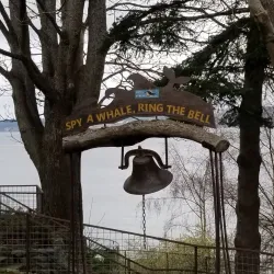 Langley Whale Center - Langley