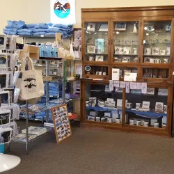 Langley Whale Center - Langley