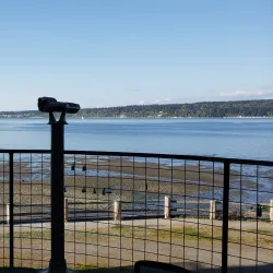 Langley Whale Center - Langley