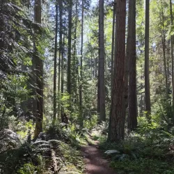Meerkerk Rhododendron Gardens - Langley