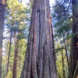 South Whidbey State Park - Langley