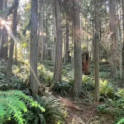 South Whidbey State Park - Langley