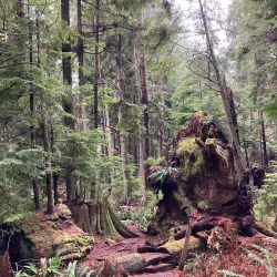 South Whidbey State Park - Langley