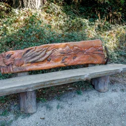 South Whidbey State Park - Langley