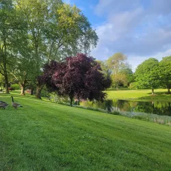 Lake Sacajawea Park - Longview