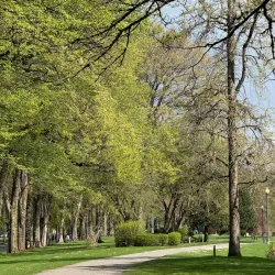 Lake Sacajawea Playground - Longview