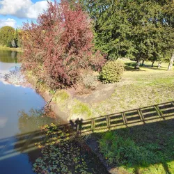 Lake Sacajawea Trail - Longview