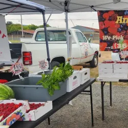 Longview Farmers Market - Longview