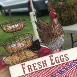 Longview Farmers Market - Longview