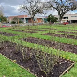 Longview Public Library - Longview