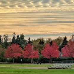 Bender Fields Park - Lynden