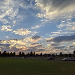 Bender Fields Park - Lynden
