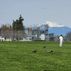 Bender Fields Park - Lynden