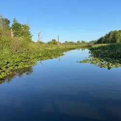 Hovander Homestead Park - Lynden