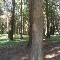 Lynden City Park - Lynden