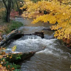 Lynden City Park - Lynden
