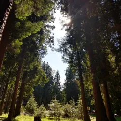 Lynden City Park - Lynden