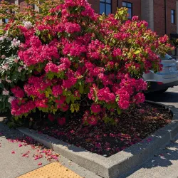 Lynden Library - Lynden