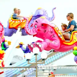 Northwest Washington Fair - Lynden