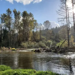 Cedar River Trail - Maple Valley