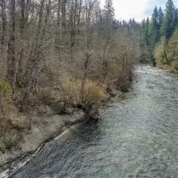 Cedar River Trail - Maple Valley