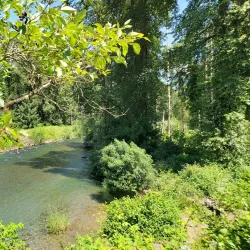 Cedar River Trail - Maple Valley