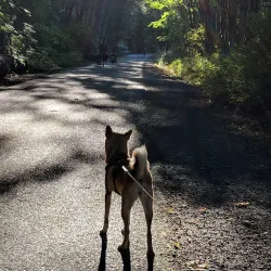 Cedar River Trail - Maple Valley
