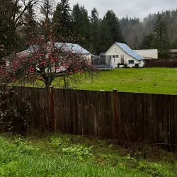 Cedar River Trail - Maple Valley