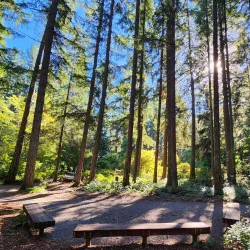 Lake Lucerne Park - Maple Valley