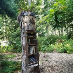 Lake Lucerne Park - Maple Valley