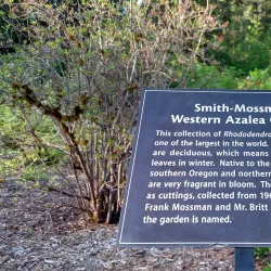 Lake Wilderness Arboretum - Maple Valley