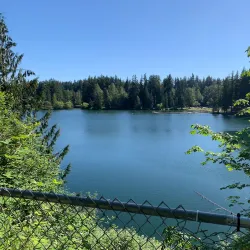 Lake Wilderness Arboretum - Maple Valley
