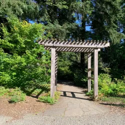 Lake Wilderness Arboretum - Maple Valley