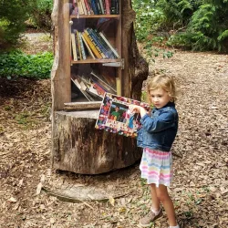 Lake Wilderness Arboretum - Maple Valley