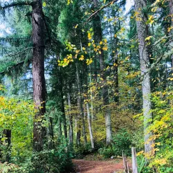 Lake Wilderness Arboretum - Maple Valley