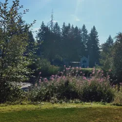 Lake Wilderness Golf Course - Maple Valley