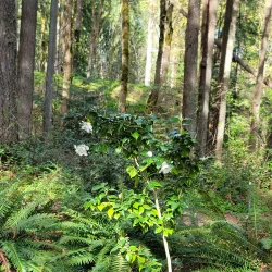 Lake Wilderness Lodge - Maple Valley