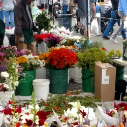 Maple Valley Farmers Market - Maple Valley