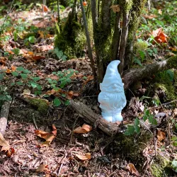 Maple Valley Farmers Market - Maple Valley