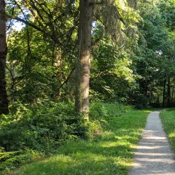 Soaring Eagle Regional Park - Maple Valley