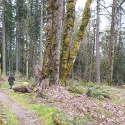 Soaring Eagle Regional Park - Maple Valley
