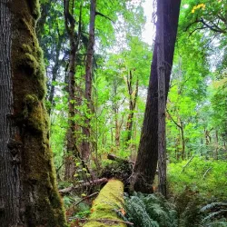 Soaring Eagle Regional Park - Maple Valley